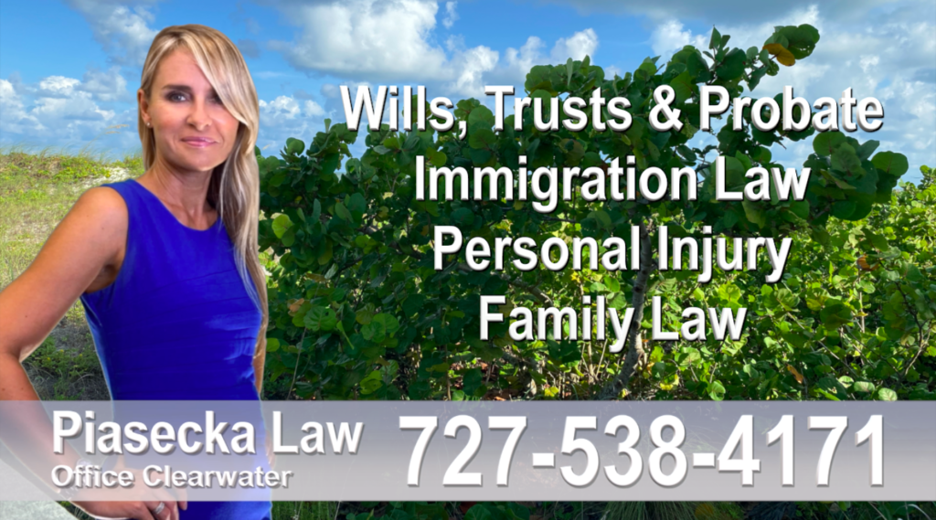 Polish Attorney Lawyer in Florida Polish speaking Wills and Trusts Family Law Personal Injury Immigration