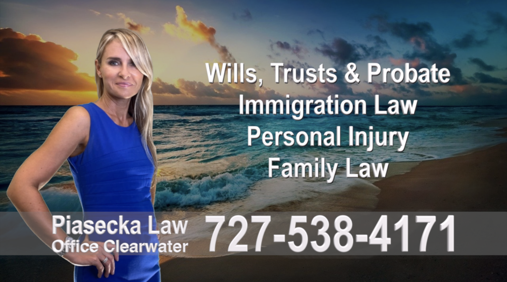 Polish, Attorneys, Lawyers, Florida, Polish, speaking, Wills, Trusts, Family Law, Personal Injury, Immigration, 1