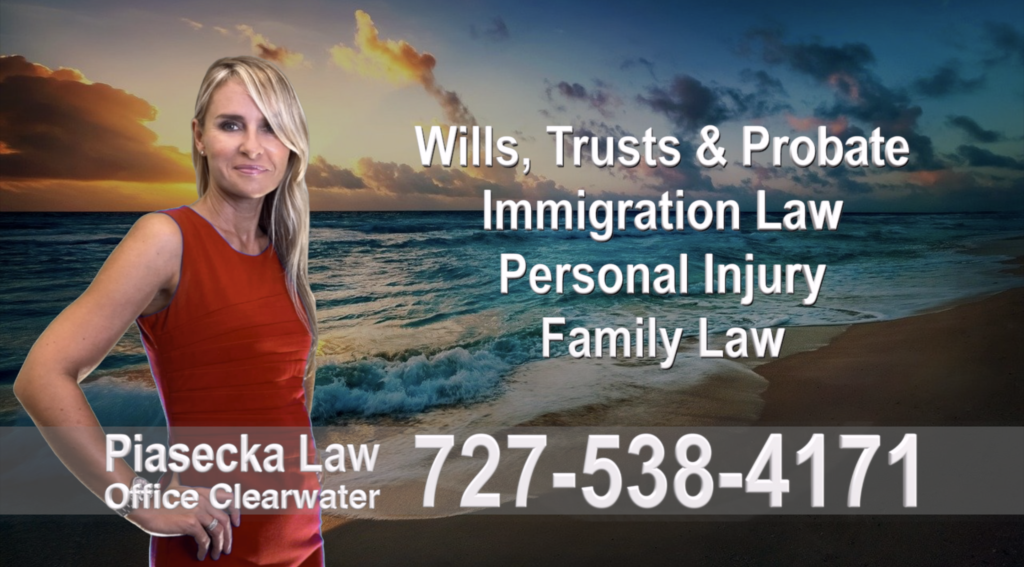 Polish, Attorneys, Lawyers, Florida, Polish, speaking, Wills, Trusts, Family Law, Personal Injury, Immigration, 11
