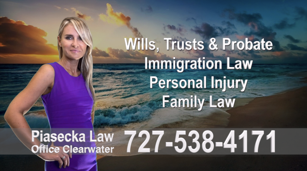 Polish, Attorneys, Lawyers, Florida, Polish, speaking, Wills, Trusts, Family Law, Personal Injury, Immigration, 13