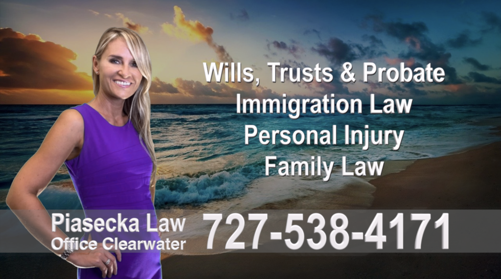 Polish, Attorneys, Lawyers, Florida, Polish, speaking, Wills, Trusts, Family Law, Personal Injury, Immigration, 14