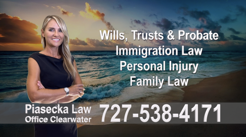 Polish, Attorneys, Lawyers, Florida, Polish, speaking, Wills, Trusts, Family Law, Personal Injury, Immigration, 16