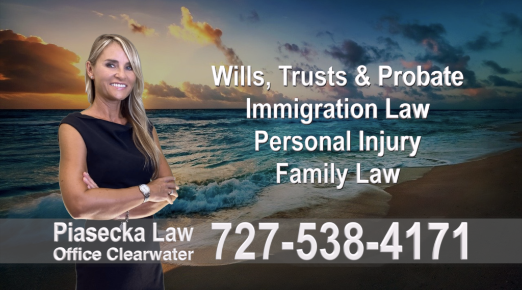 Polish, Attorneys, Lawyers, Florida, Polish, speaking, Wills, Trusts, Family Law, Personal Injury, Immigration, 17