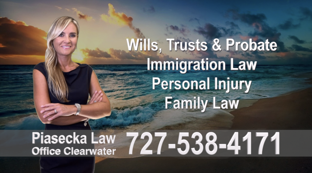 Polish, Attorneys, Lawyers, Florida, Polish, speaking, Wills, Trusts, Family Law, Personal Injury, Immigration, , 2