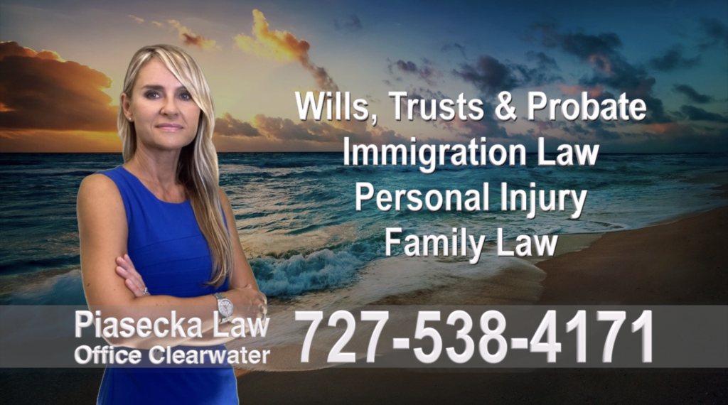 Polish, Attorneys, Lawyers, Florida, Polish, speaking, Wills, Trusts, Family Law, Personal Injury, Immigration, 3