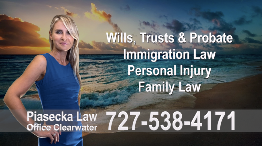 Polish, Attorneys, Lawyers, Florida, Polish, speaking, Wills, Trusts, Family Law, Personal Injury, Immigration, 6
