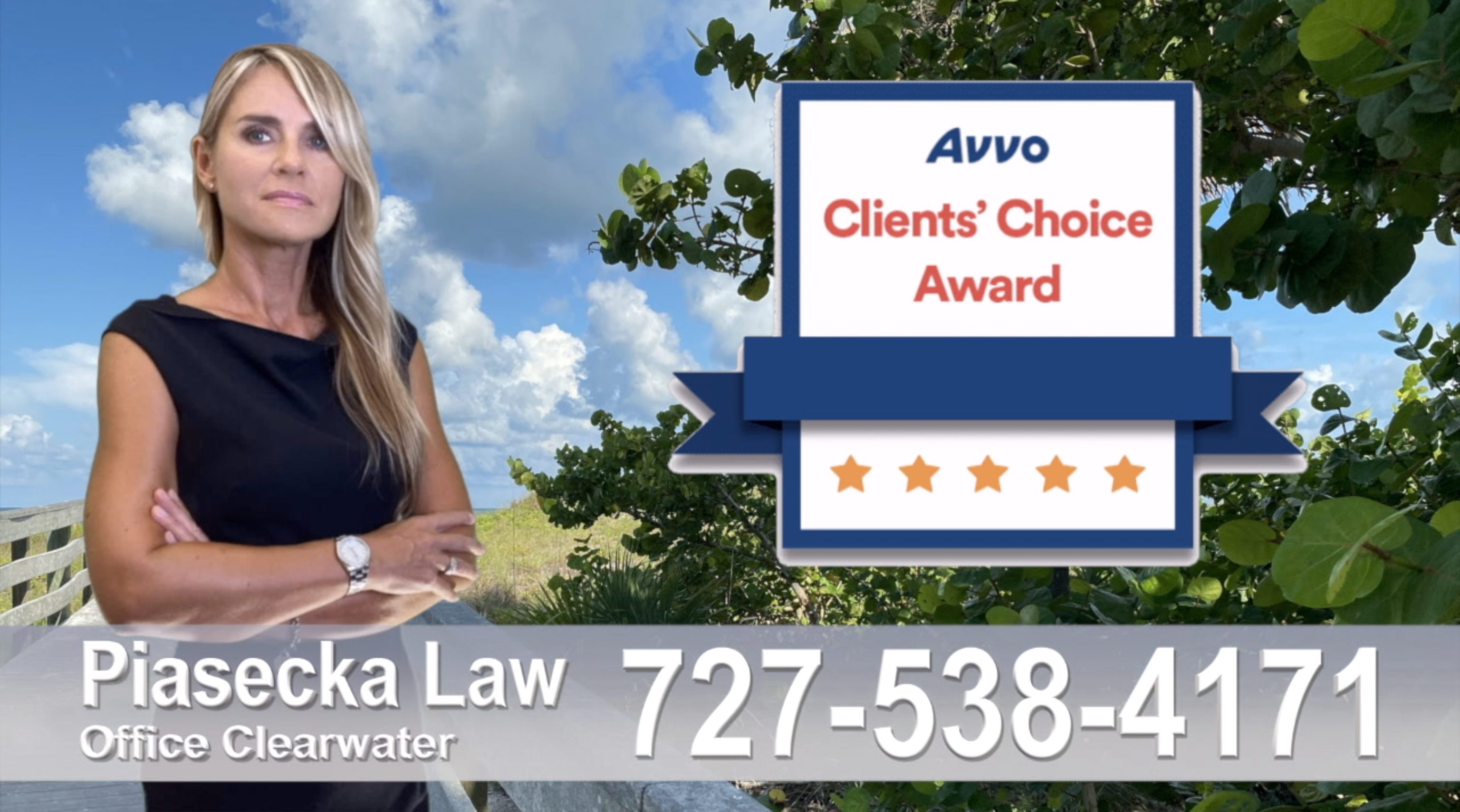 Polish, attorney, lawyer, clients, reviews, award avvo