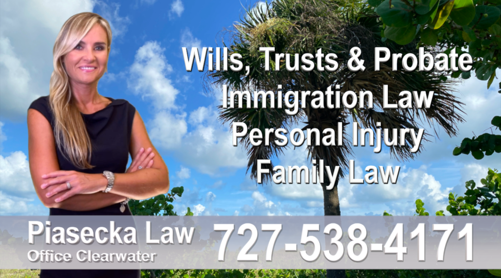 black Polish Attorney Lawyer in Florida Polish speaking Wills and Trusts Family Law Personal Injury Immigration
